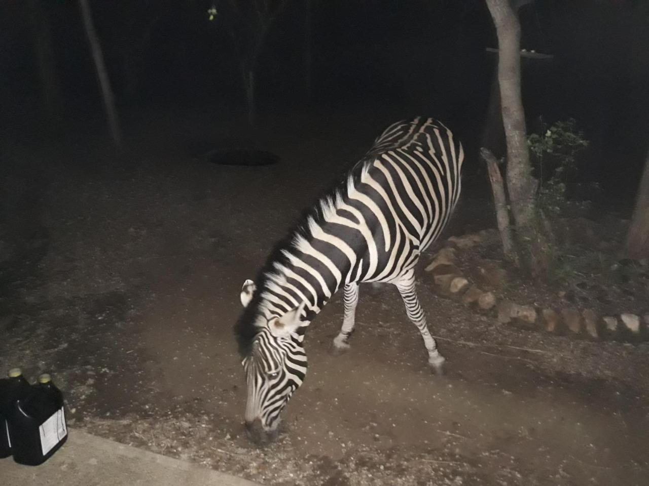 African Sky Marloth Park Exterior foto