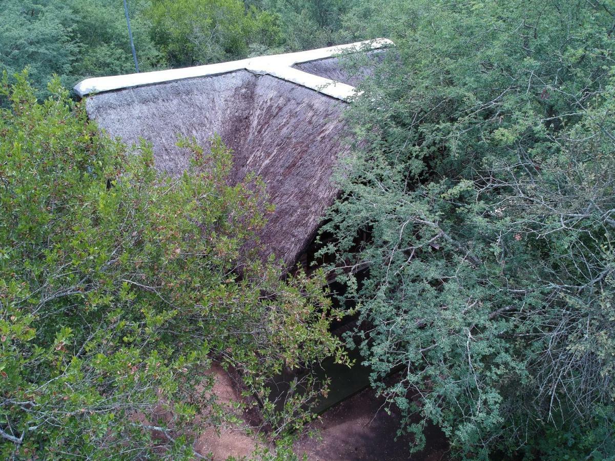 African Sky Marloth Park Exterior foto